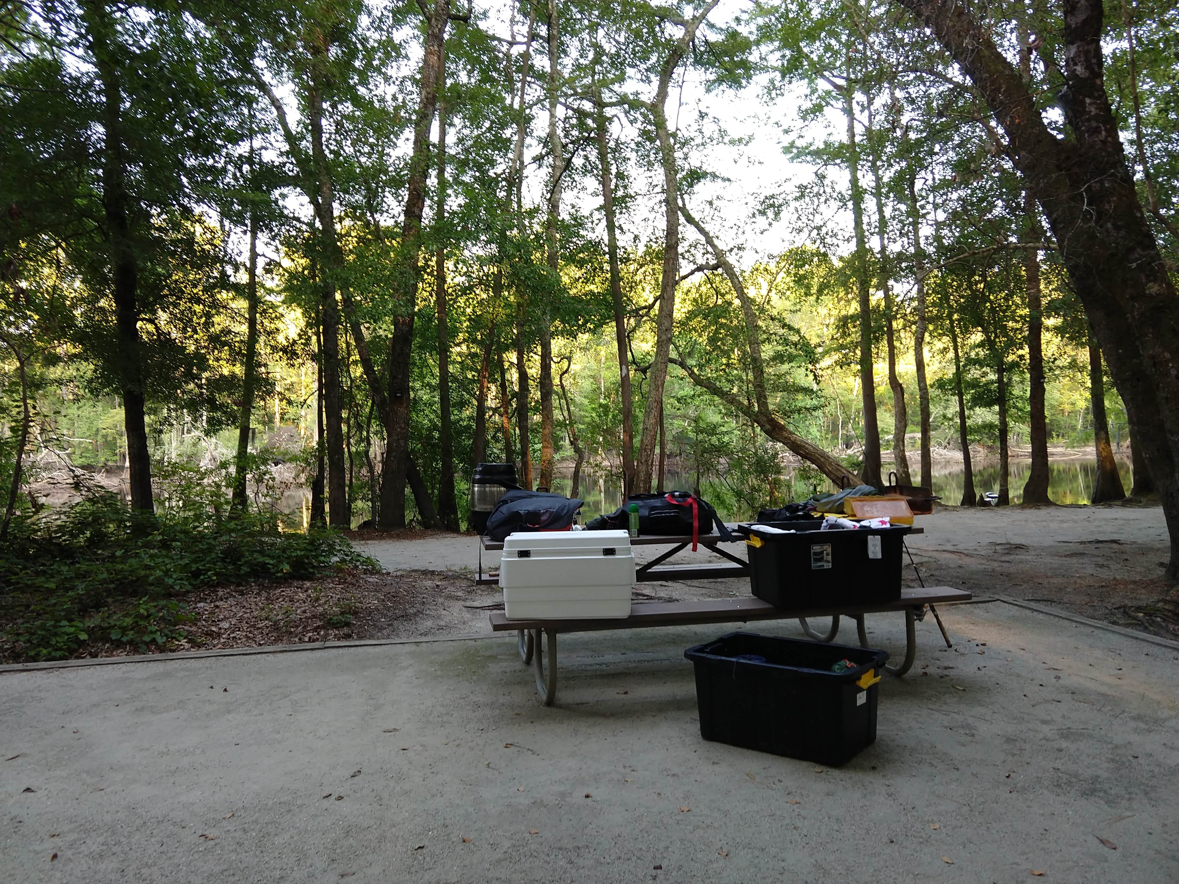 Camper-submitted photo at Princess Ann — Lumber River State Park near Lumberton, NC