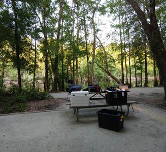 Camper-submitted photo from Princess Ann — Lumber River State Park