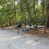 Review photo of Princess Ann — Lumber River State Park by Courtney B., September 23, 2019