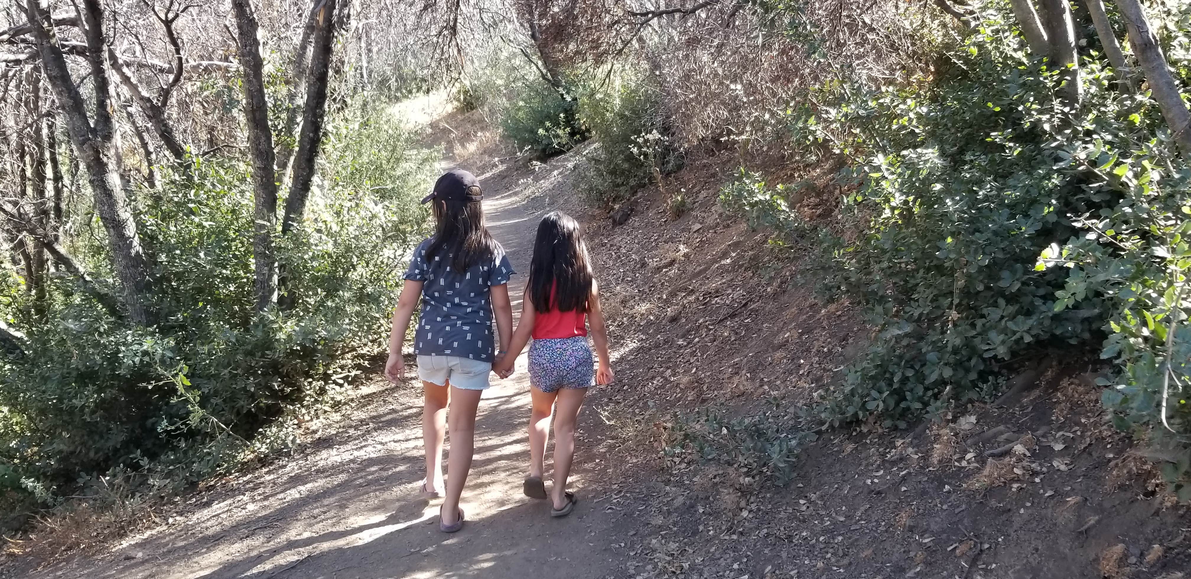 Camper-submitted photo at Wheeler Gorge Campground near Ventura, CA