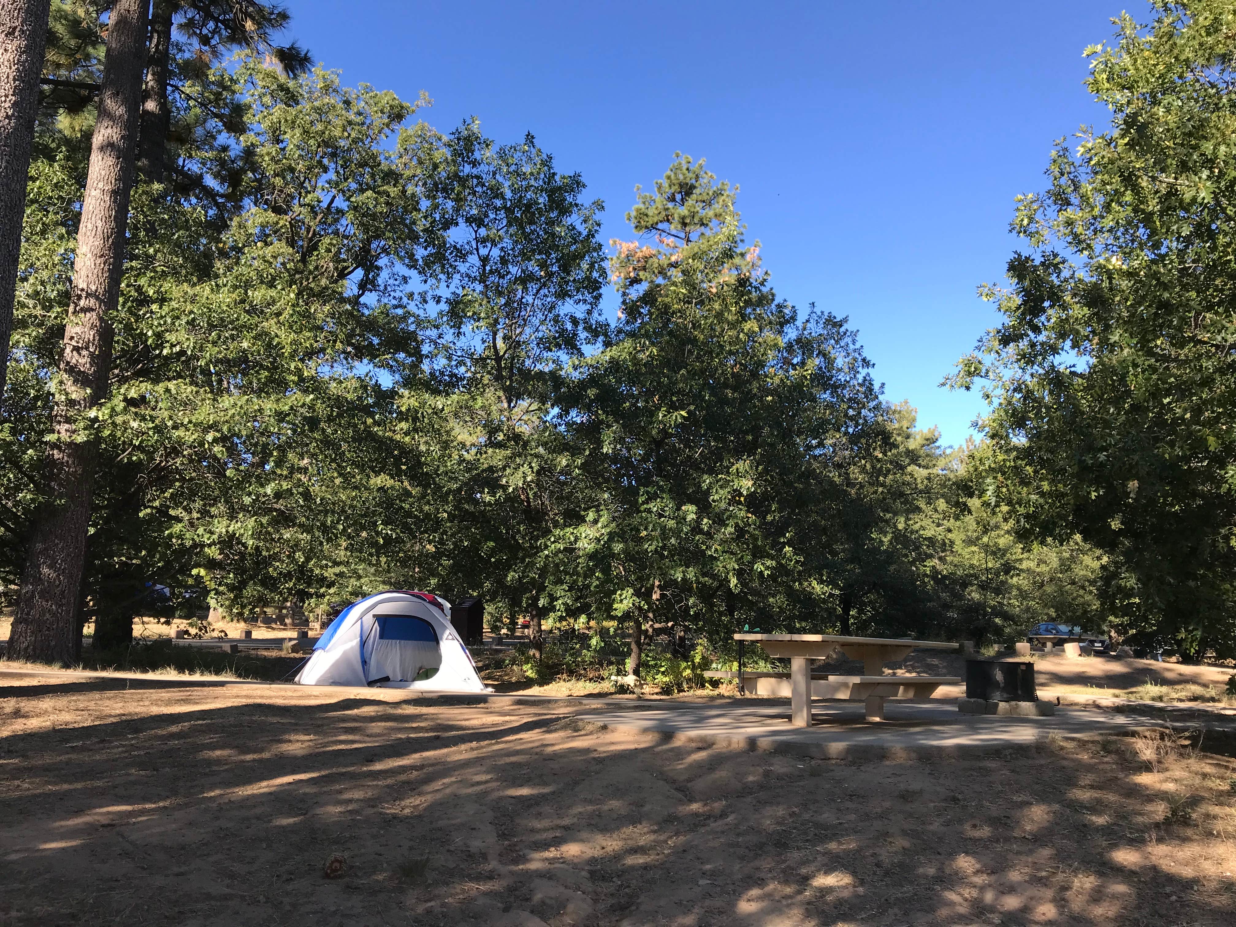 Laura C.'s photo at Burnt Rancheria Campground near Ocotillo, CA