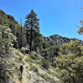 Review photo of Vivian Creek Summit Camp Primitive Campground by Kate W., September 23, 2019