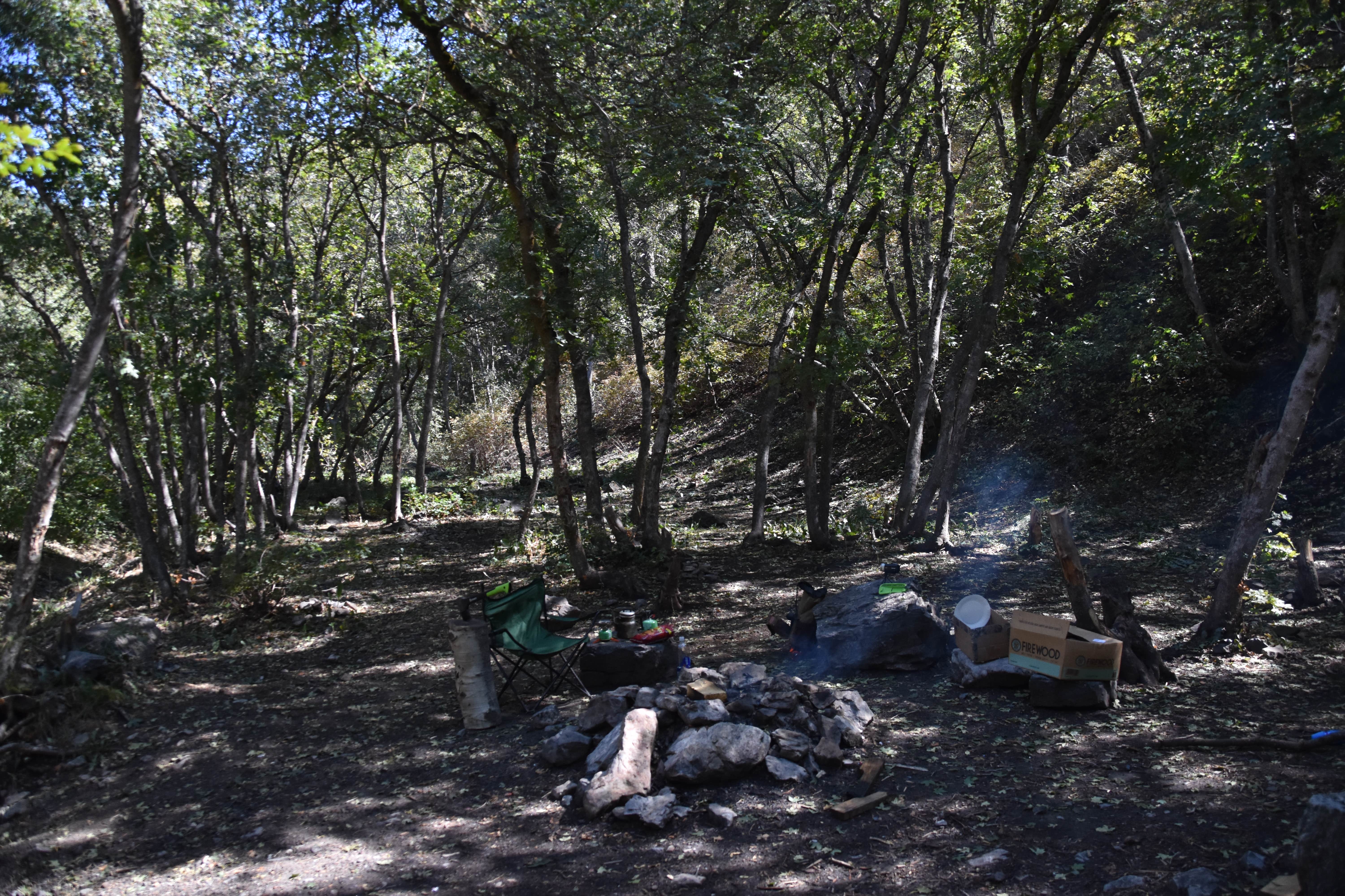 Camper submitted image from Green Canyon Dispersed Campground - 3