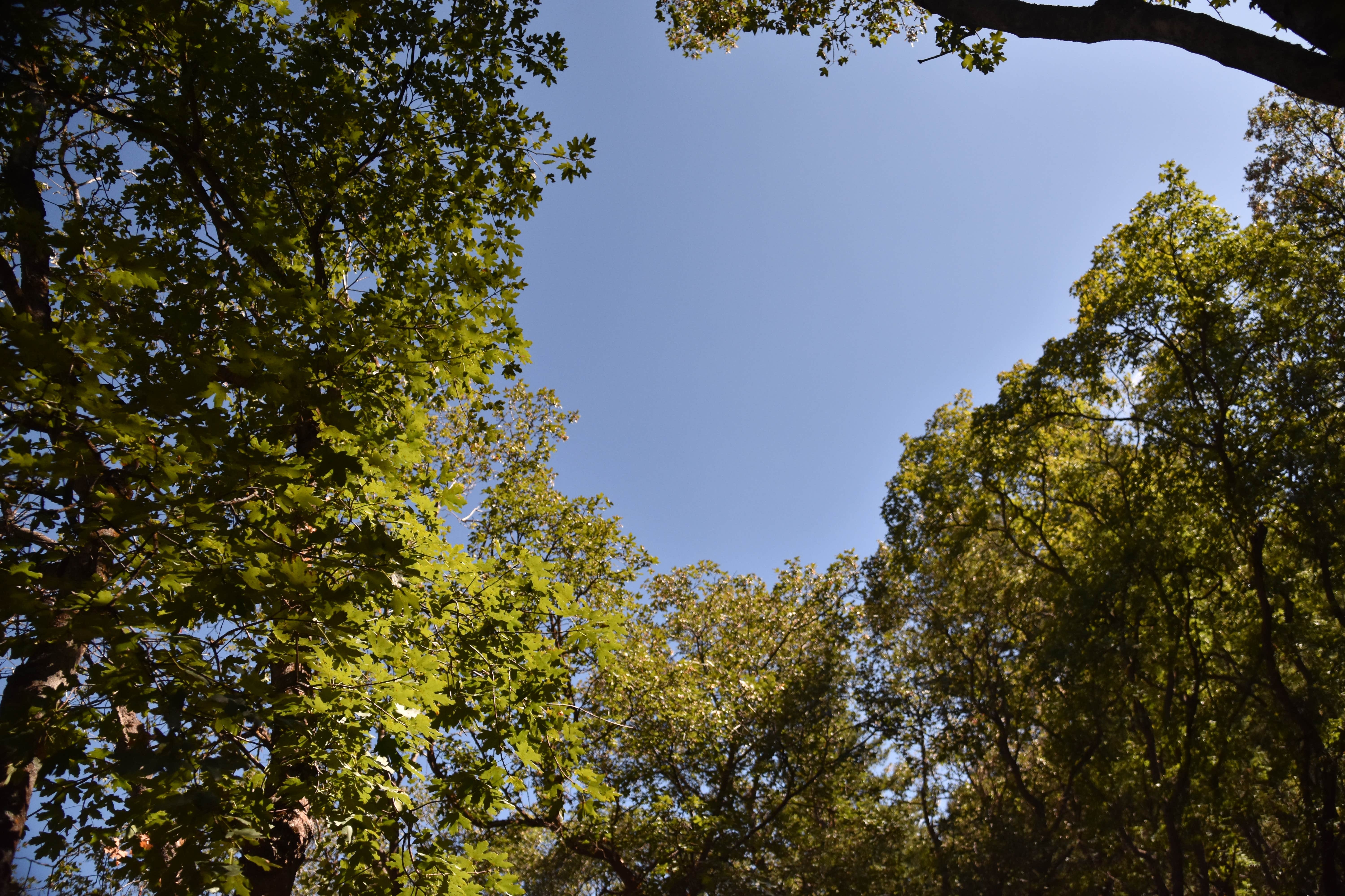 Green Canyon Dispersed Campground