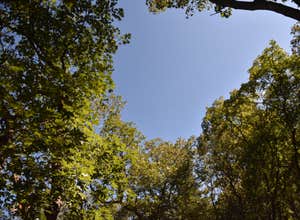 Green Canyon Dispersed Campground