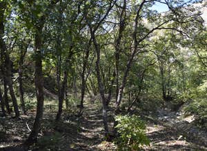 Green Canyon Dispersed Campground