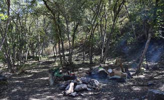 Steven E.'s photo at Green Canyon Dispersed Campground near Paradise, UT