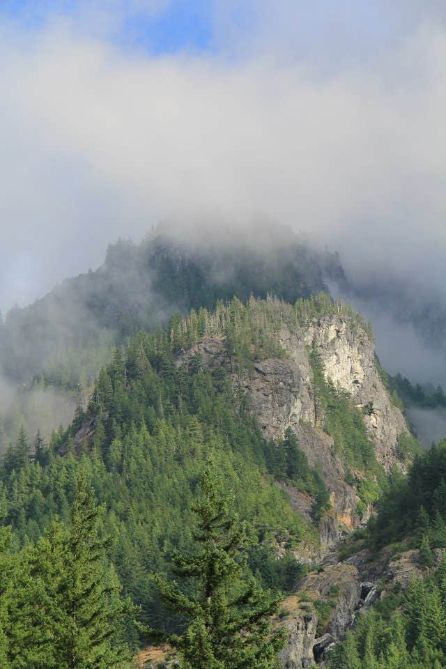 Camper submitted image from Goodell Creek Campground — Ross Lake National Recreation Area - 2
