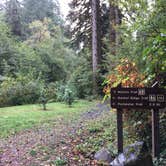 Review photo of Silver Falls State Park Campground by Dani F., September 23, 2019