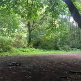 Review photo of Tillamook Forest Dispersed on the Nehalem River by Dani F., September 23, 2019