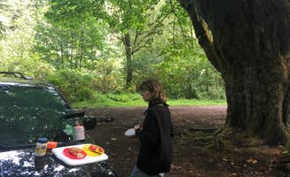 Dani F.'s photo at Tillamook Forest Dispersed on the Nehalem River near Timber, OR