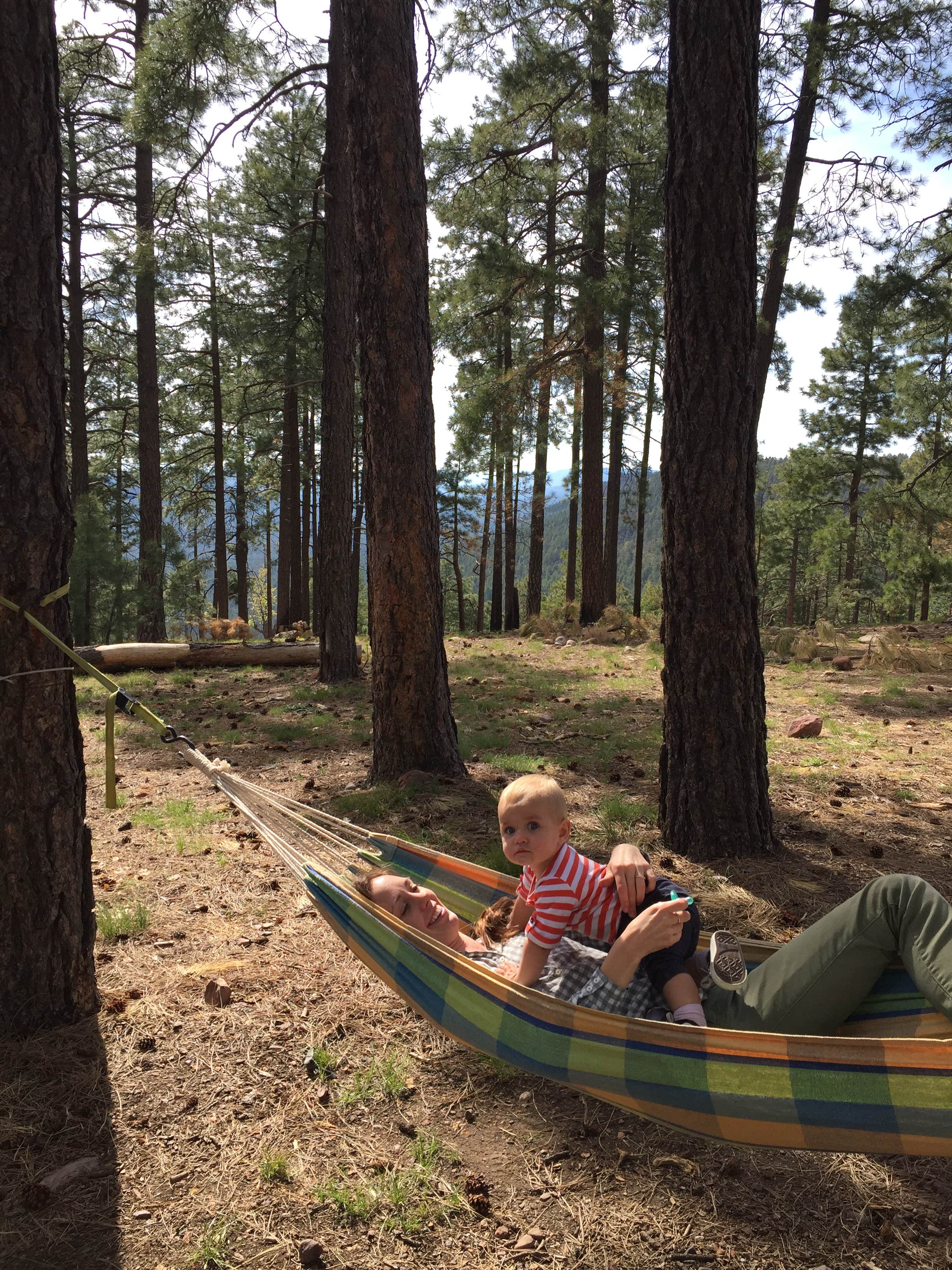 Camper submitted image from Colcord Ridge Campground - 3
