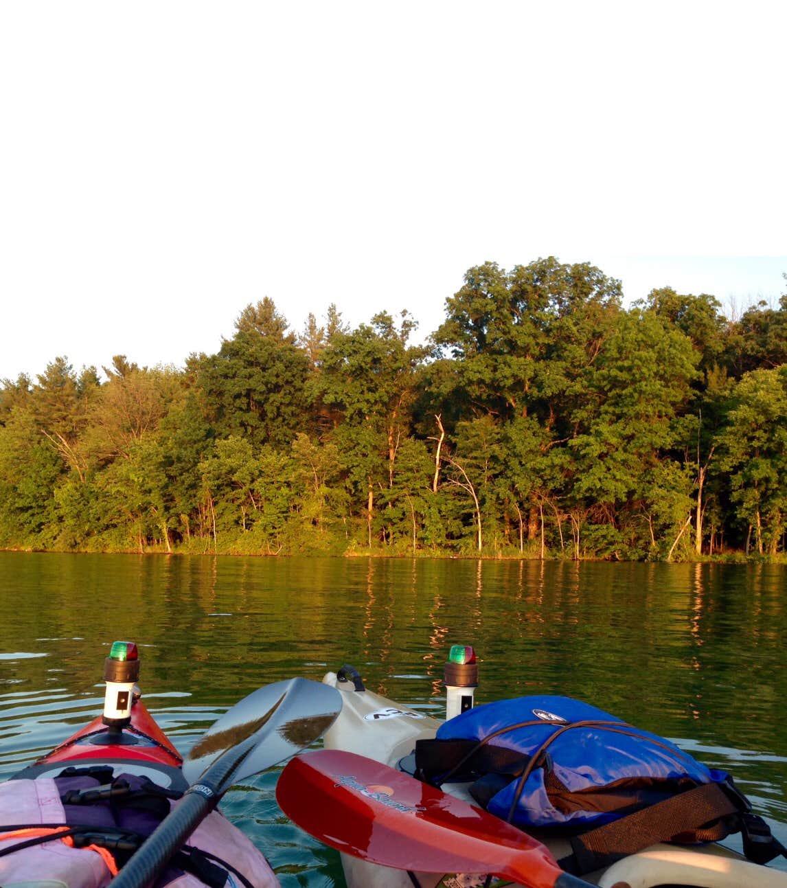 Bald Eagle State Park | The Dyrt