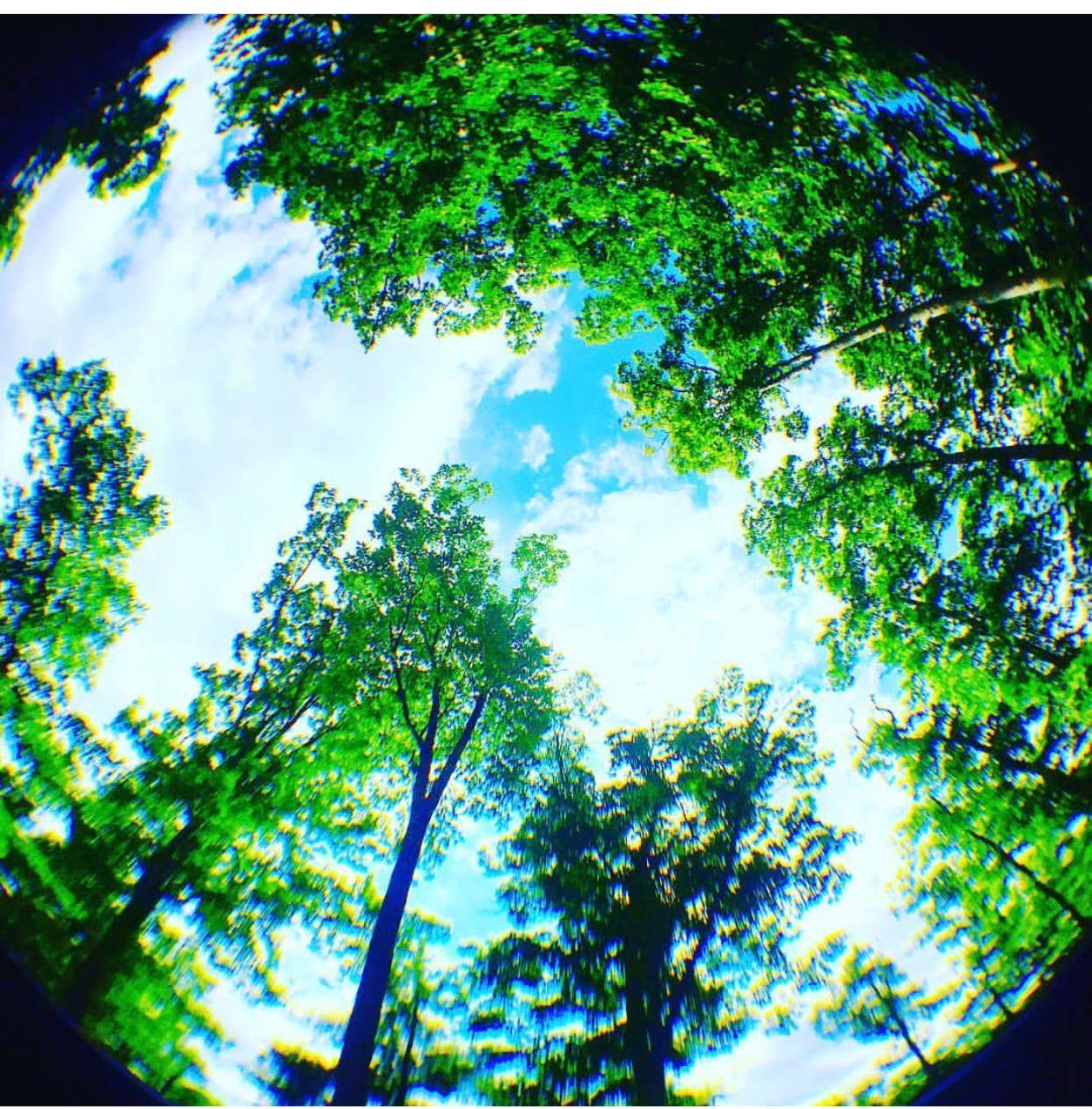 Camper-submitted photo at Bolar Mountain Recreation Area near Vesuvius, VA