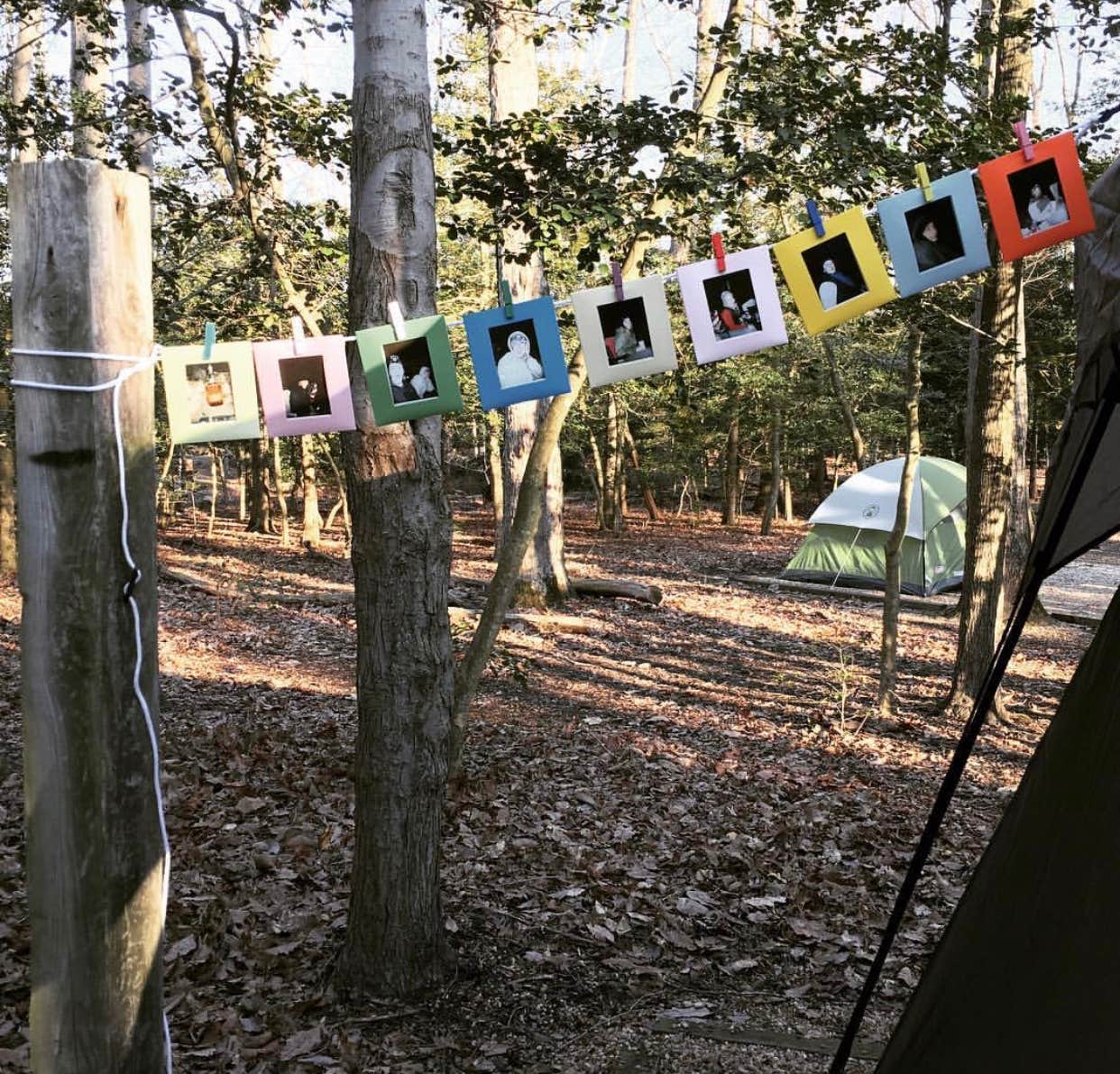 RL's photo at Westmoreland State Park Campground near California, MD