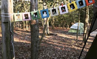 RL's photo at Westmoreland State Park Campground near California, MD