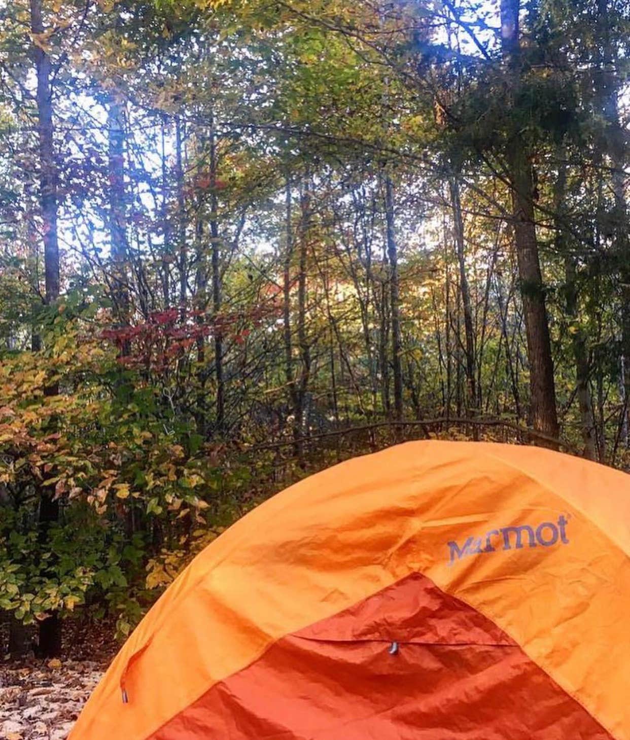 RL's photo at Red Oak Campground — James River State Park near Greenway, VA