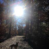 Review photo of Red Oak Campground — James River State Park by RL , August 28, 2019