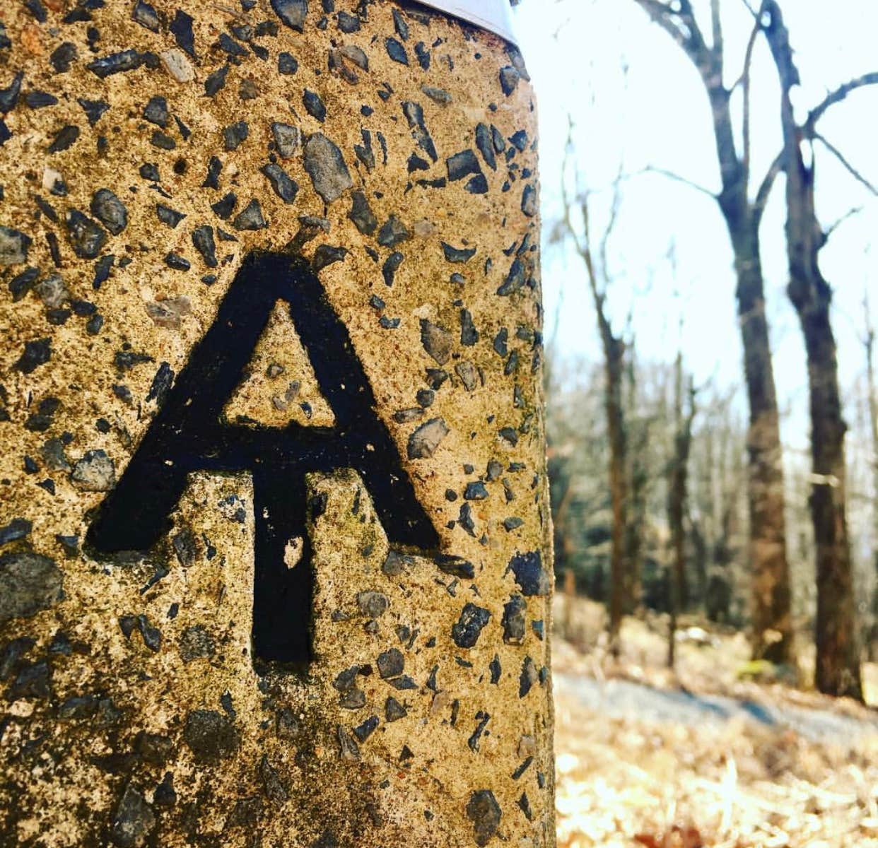 Camper-submitted photo at Shenandoah National Park Dispersed Sites — Shenandoah National Park near Rippon, WV