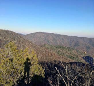 Camper-submitted photo from Shenandoah National Park Dispersed Sites — Shenandoah National Park