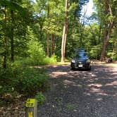 Review photo of Westmoreland State Park Campground by RL , August 25, 2019