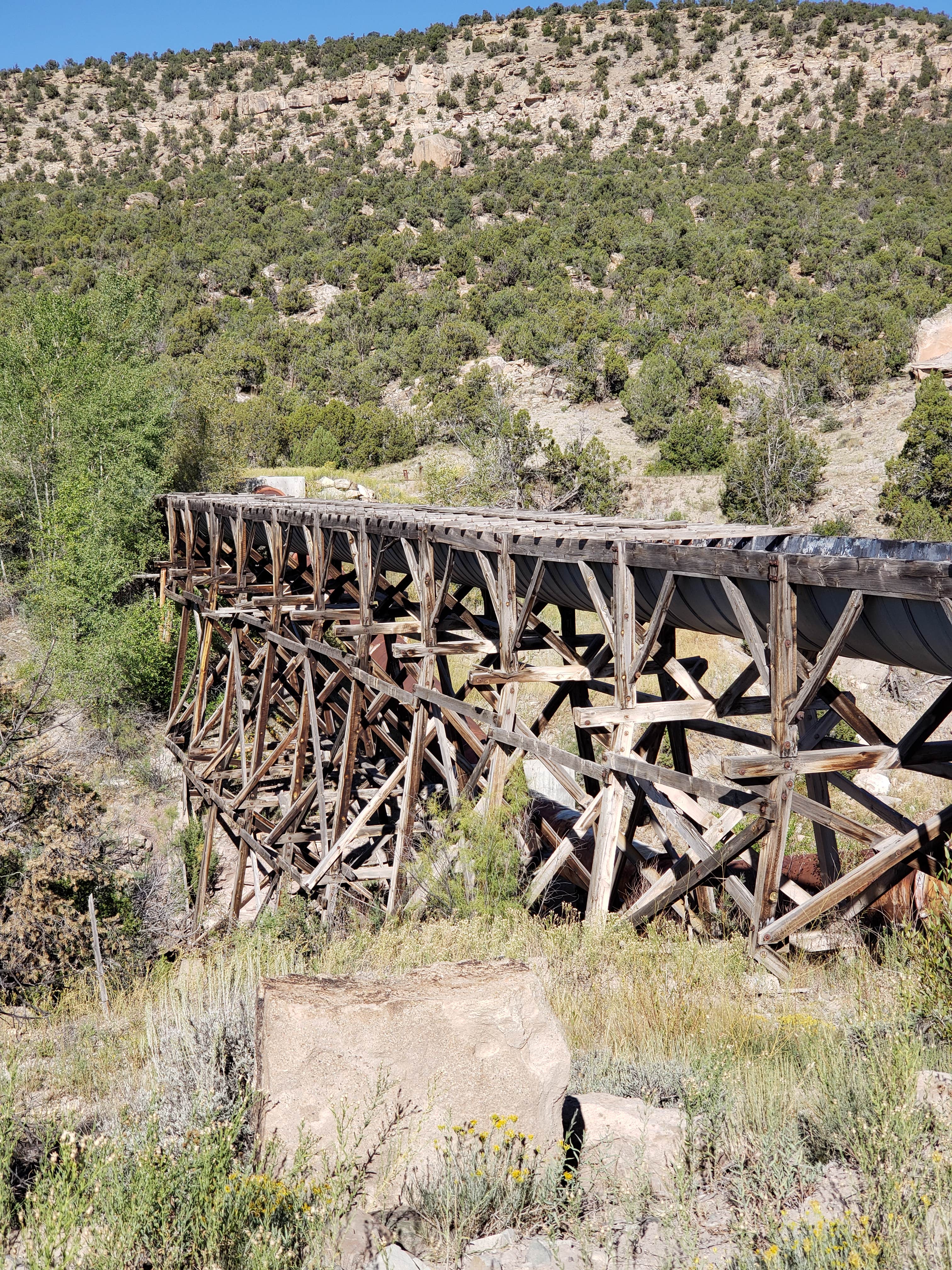 Camping near BLM Ledges Cottonwood Campground: Black Shadow Campground, Nucla, Colorado