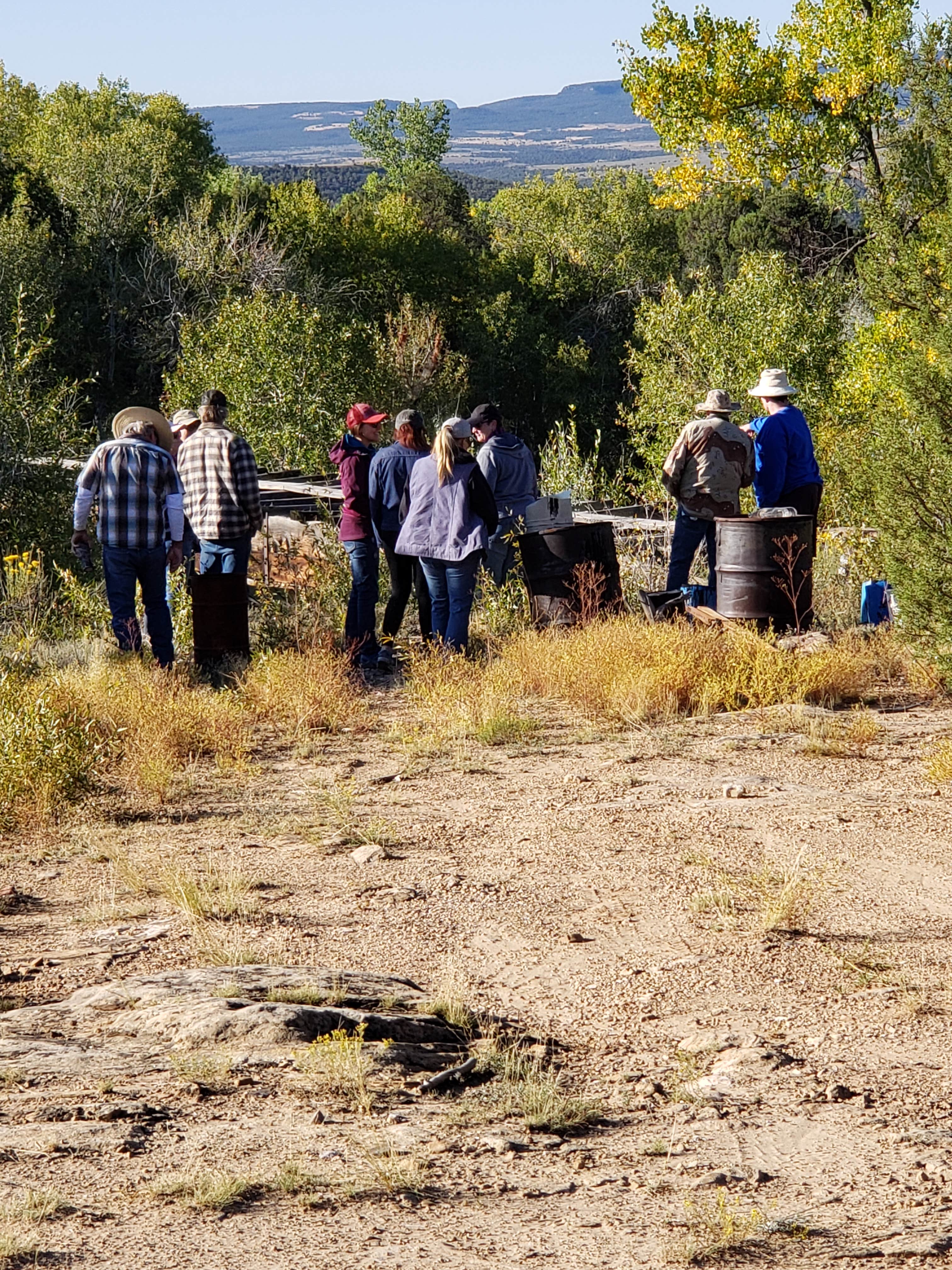 Camper-submitted photo at Black Shadow Campground near Nucla, CO