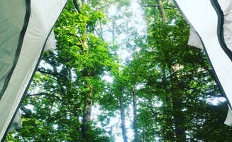 RL's photo at Loft Mountain Campground — Shenandoah National Park near Madison, VA