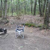 Review photo of Dunewood Campground — Indiana Dunes National Park by Crissy R., September 24, 2019