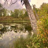 Review photo of Iron Corner Lake Remote Backpacker Site — Itasca State Park by Janet R., September 24, 2019