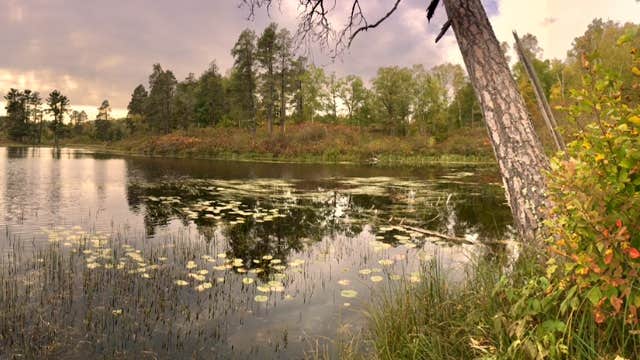 Camper submitted image from Iron Corner Lake Remote Backpacker Site — Itasca State Park - 3