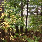 Review photo of Iron Corner Lake Remote Backpacker Site — Itasca State Park by Janet R., September 24, 2019