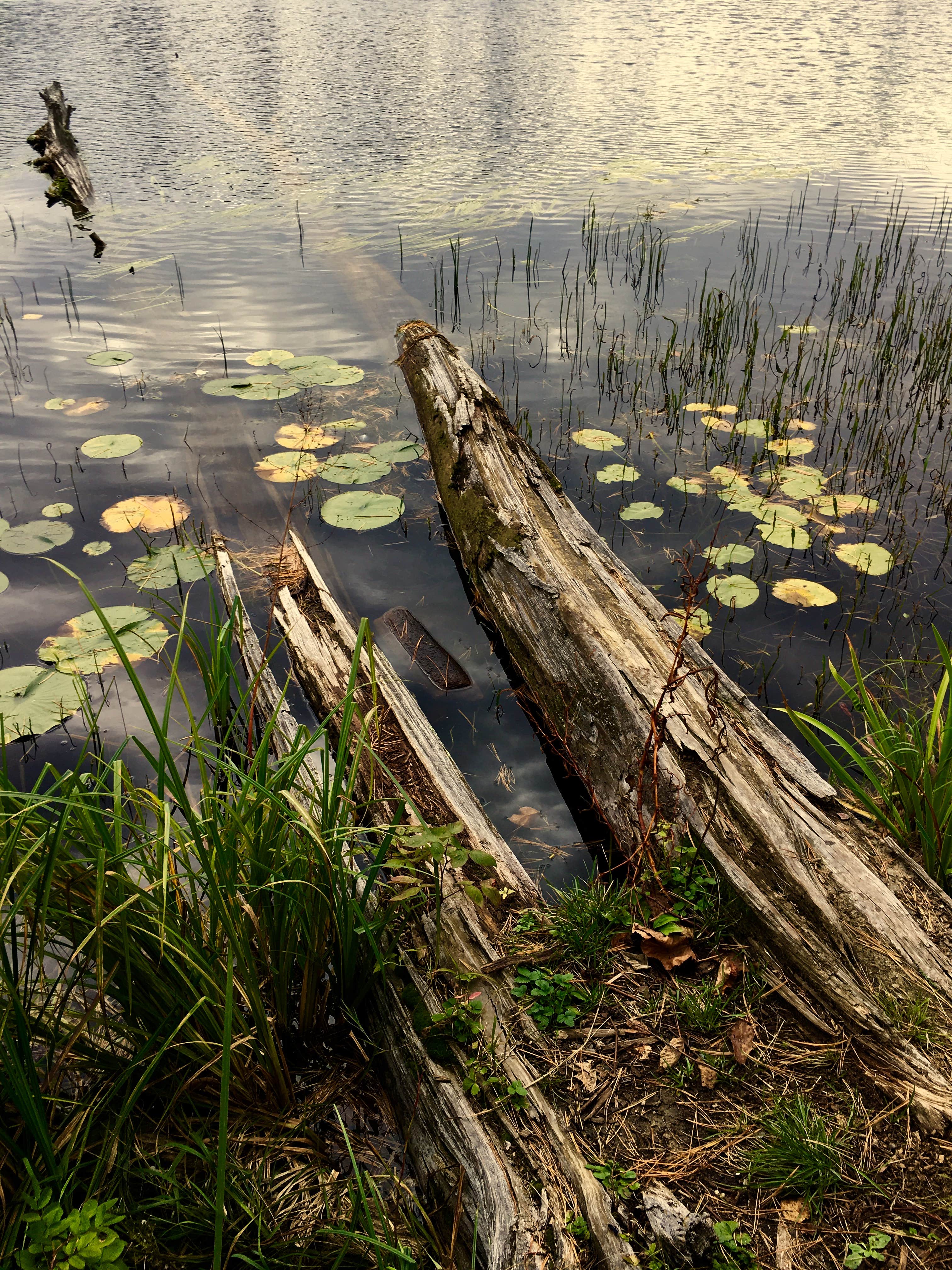 Camper submitted image from Iron Corner Lake Remote Backpacker Site — Itasca State Park - 1