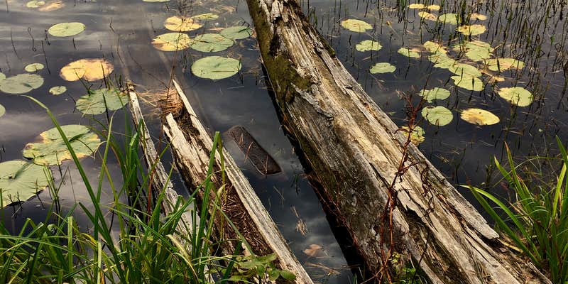Camper submitted image from Iron Corner Lake Remote Backpacker Site — Itasca State Park