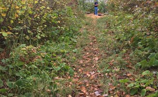 Janet R.'s photo of camping with pets at Iron Corner Lake Remote Backpacker Site — Itasca State Park near Midway, MN