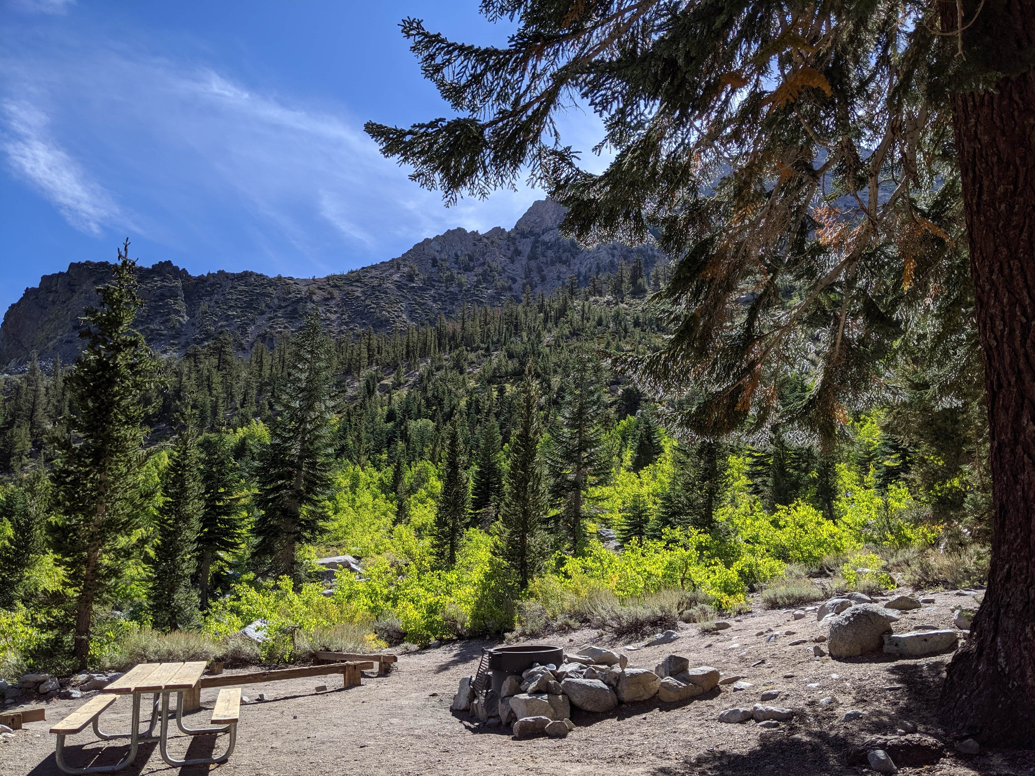 Camper submitted image from Onion Valley - 3