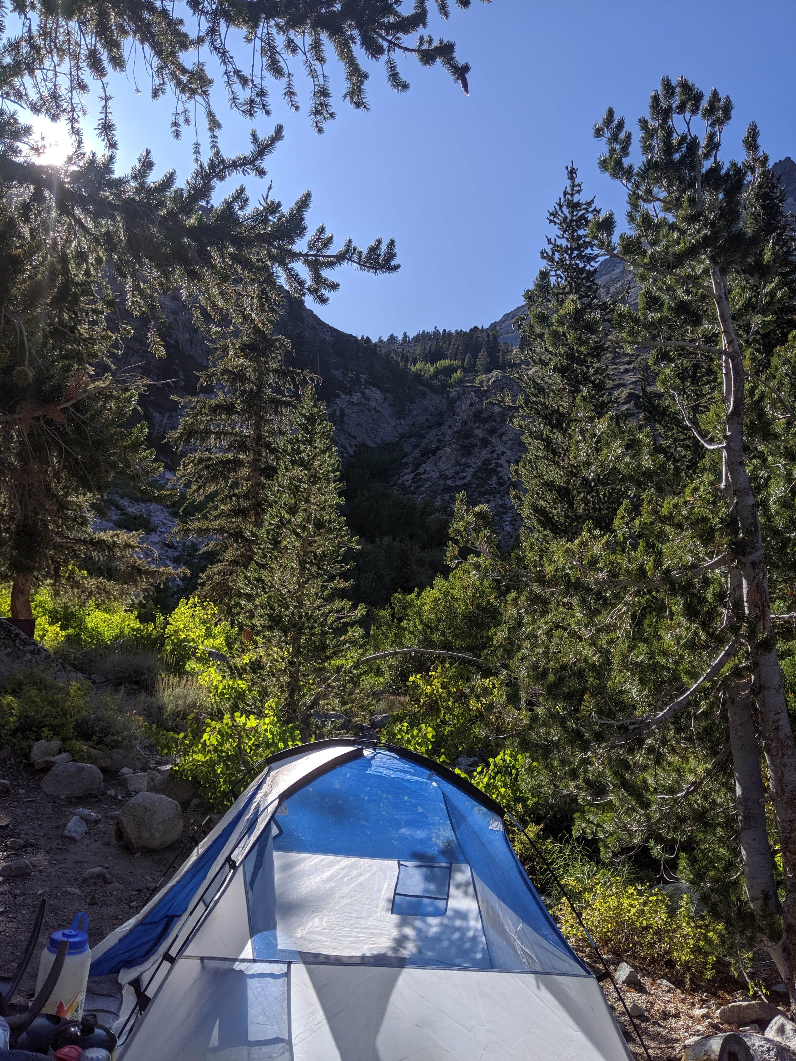 Camper submitted image from Onion Valley - 5
