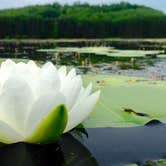 Review photo of Hills Creek State Park Campground by Rebecca E., August 10, 2017