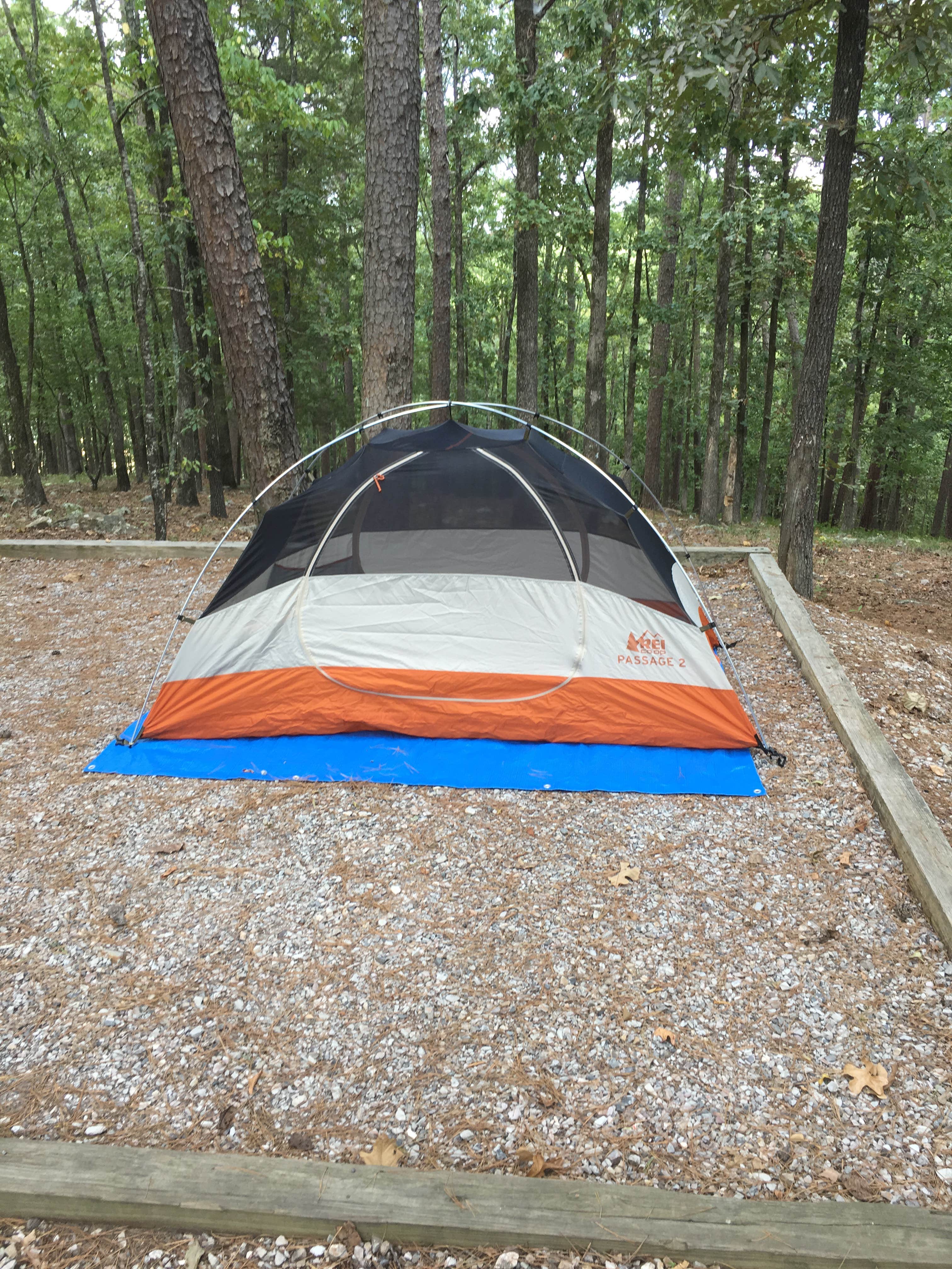 Amy M.'s photo at Washita Primitive Camping Area near Ouachita National Forest