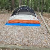 Review photo of Washita Primitive Camping Area by Amy M., September 24, 2019