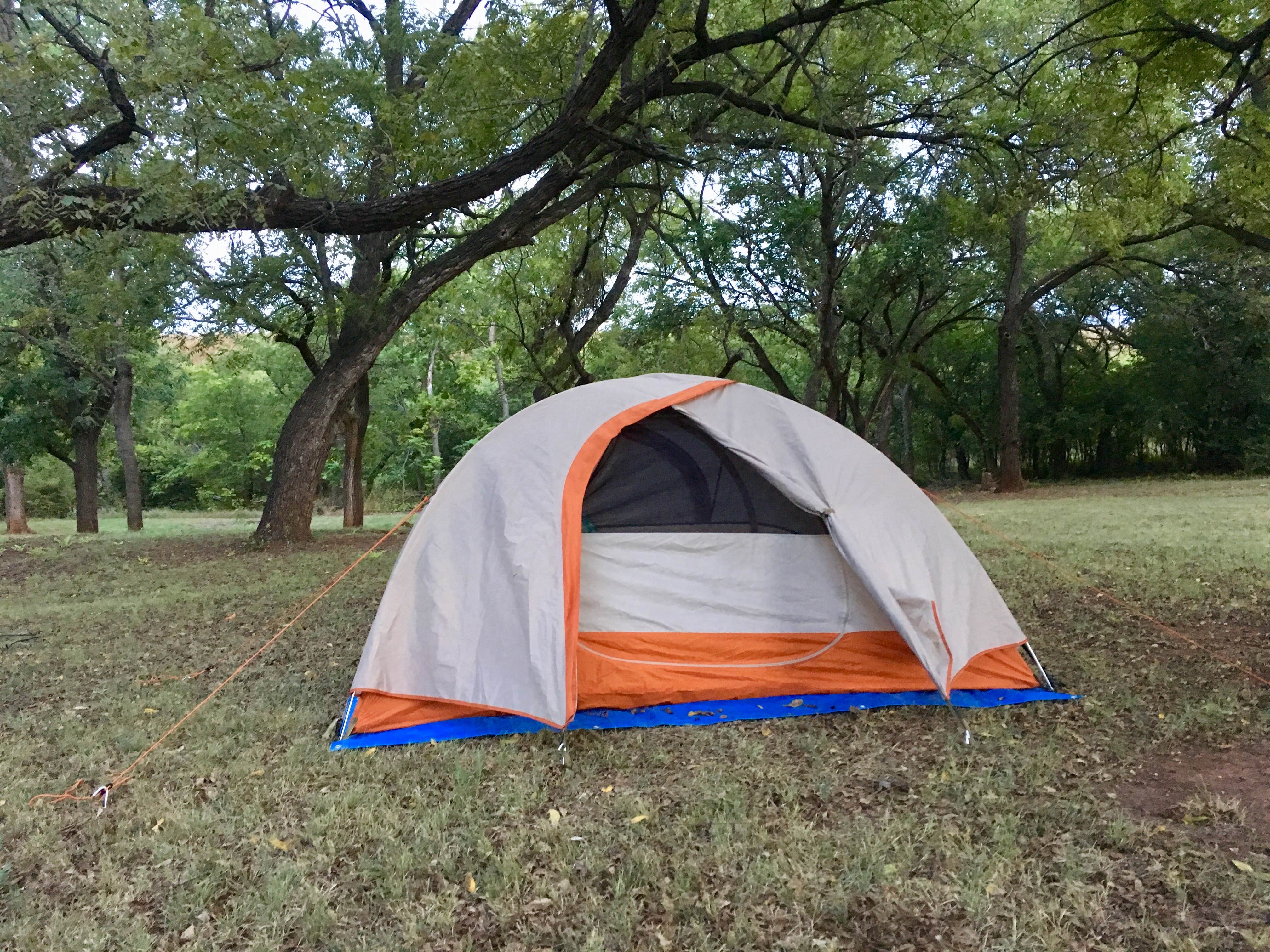 Camper submitted image from Black Kettle Campground - 5