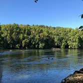 Review photo of Andy Guest/Shenandoah River State Park Campground by Liz H., September 24, 2019