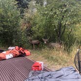 Review photo of Amphitheater Campground by Jennifer S., September 24, 2019