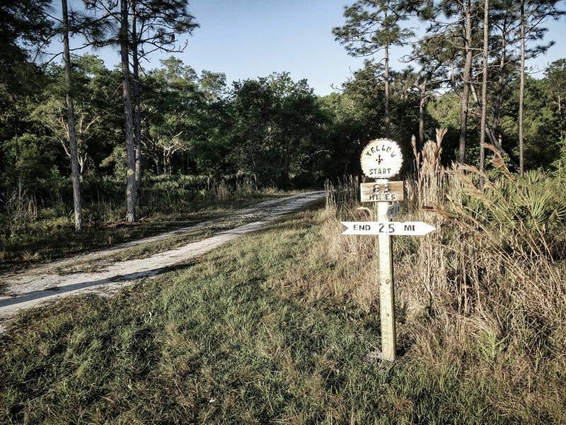 Camper submitted image from Hal Scott Preserve County Park - 2