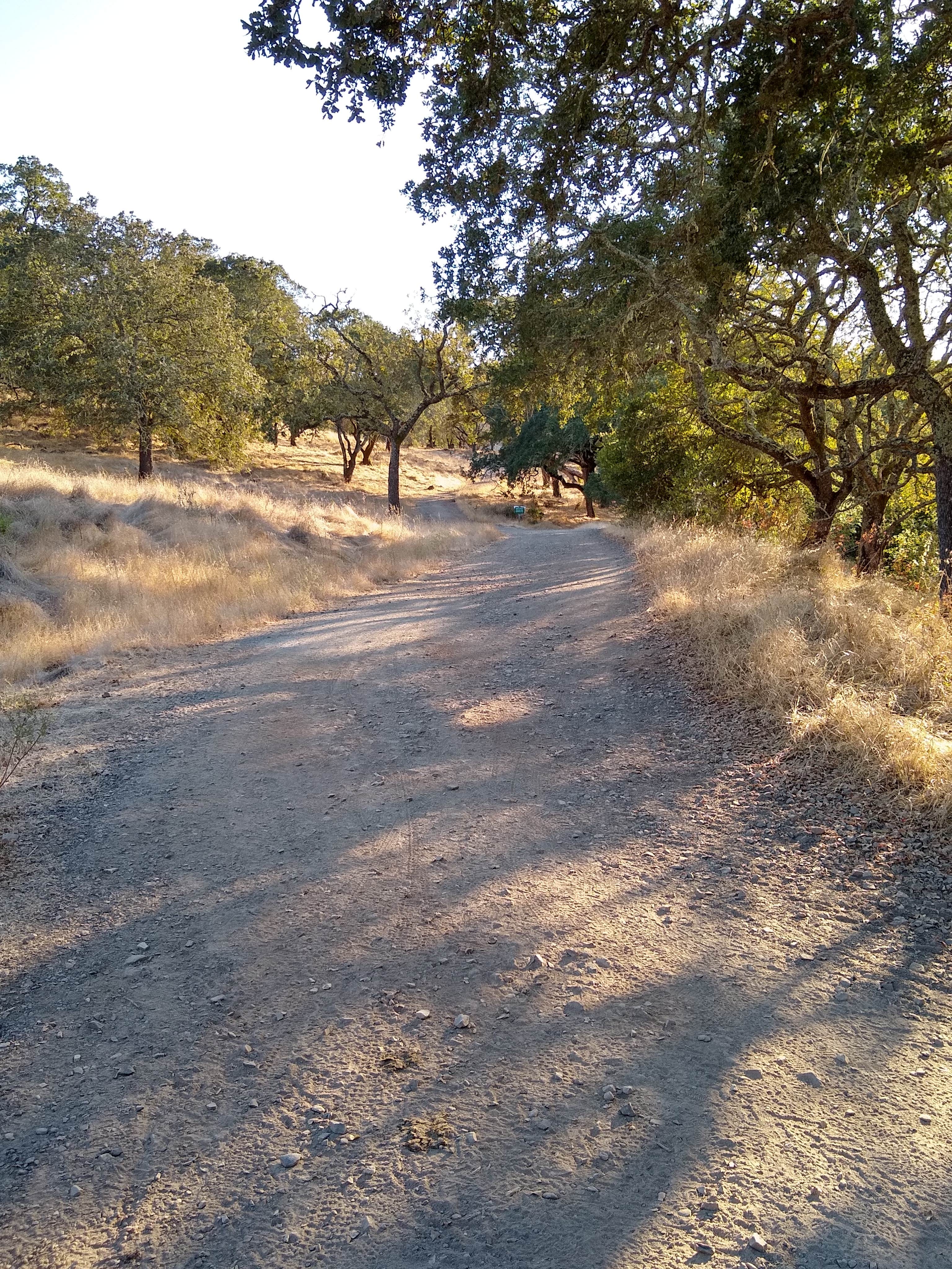 Camper submitted image from Skyline Wilderness Park - 3