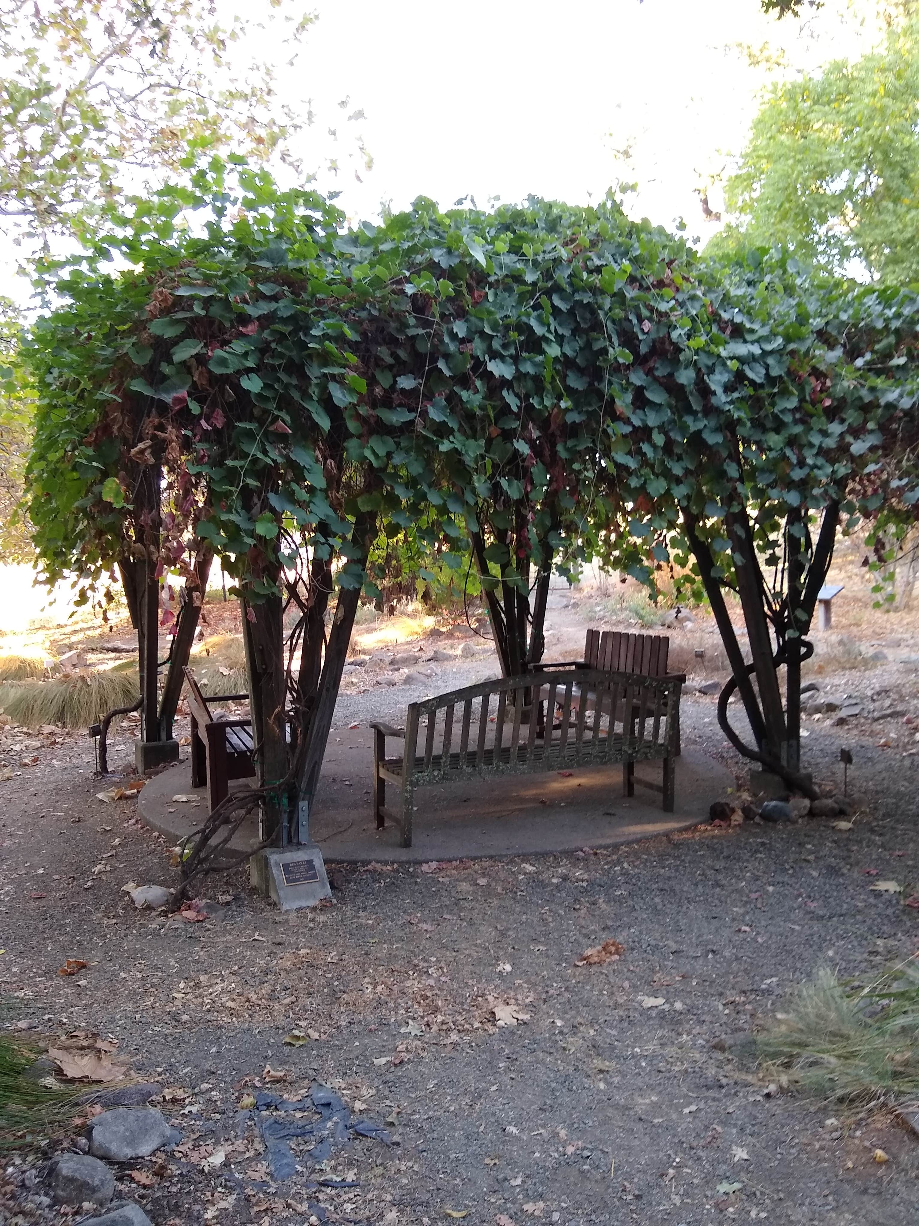 Camper submitted image from Skyline Wilderness Park - 3