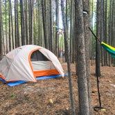 Review photo of Canyon Campground — Yellowstone National Park by Amy M., September 24, 2019