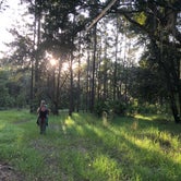 Review photo of Bayard Conservation Area by Jenn B., September 24, 2019