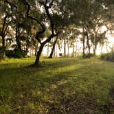 Review photo of Bayard Conservation Area by Jenn B., September 24, 2019