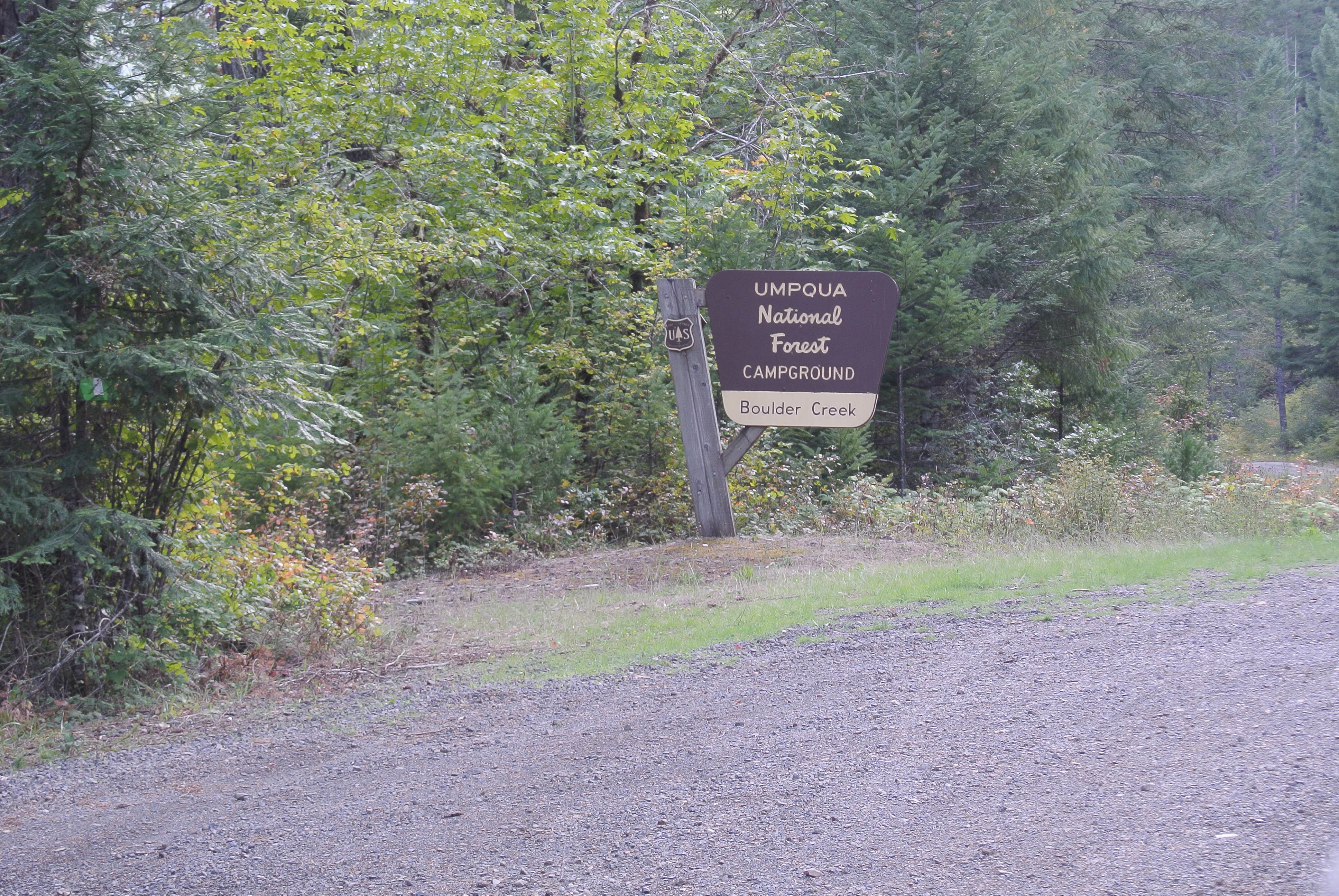 Camper submitted image from Boulder Creek Campground - 3